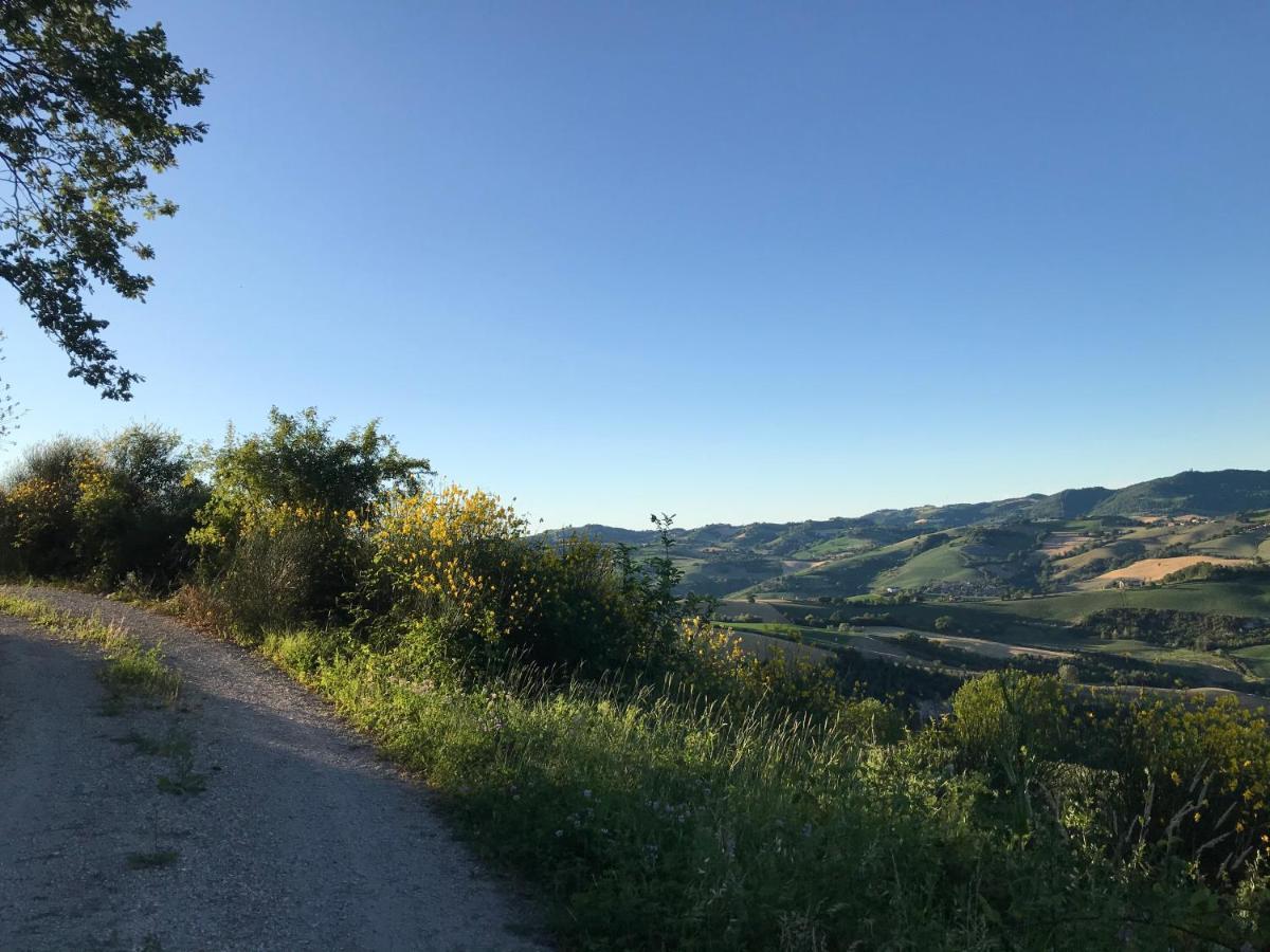 Agriturismo "Le Cannelle" Spa & Day Wellness Villa Fossombrone Bagian luar foto