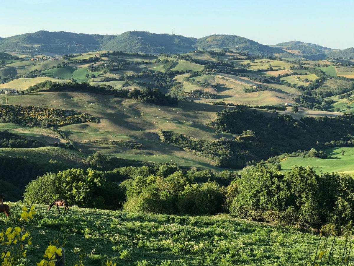 Agriturismo "Le Cannelle" Spa & Day Wellness Villa Fossombrone Bagian luar foto