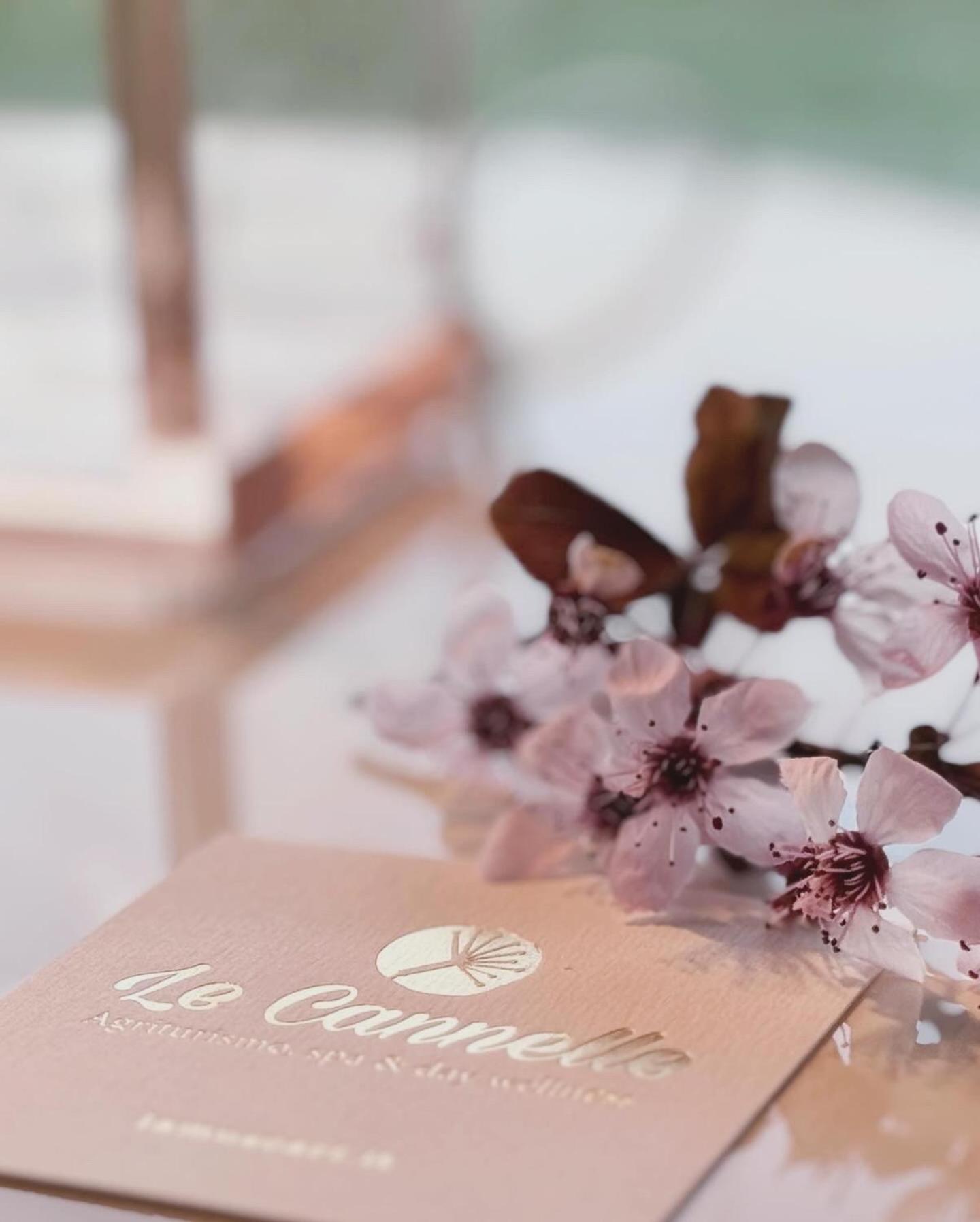 Agriturismo "Le Cannelle" Spa & Day Wellness Villa Fossombrone Bagian luar foto